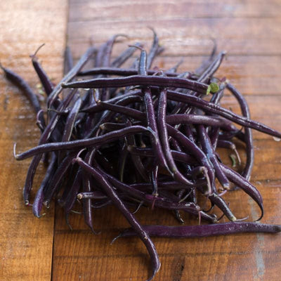 Royal Burgundy Bush Bean (51 Days) - Vegetables
