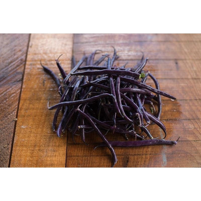 Royal Burgundy Bush Bean (51 Days) - Vegetables