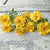 Safari Yellow Marigold - Flowers