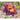 Salpiglossis - Royale Mix - Flowers