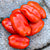 San Marzano Tomato (Heirloom 82 Days) - Vegetables