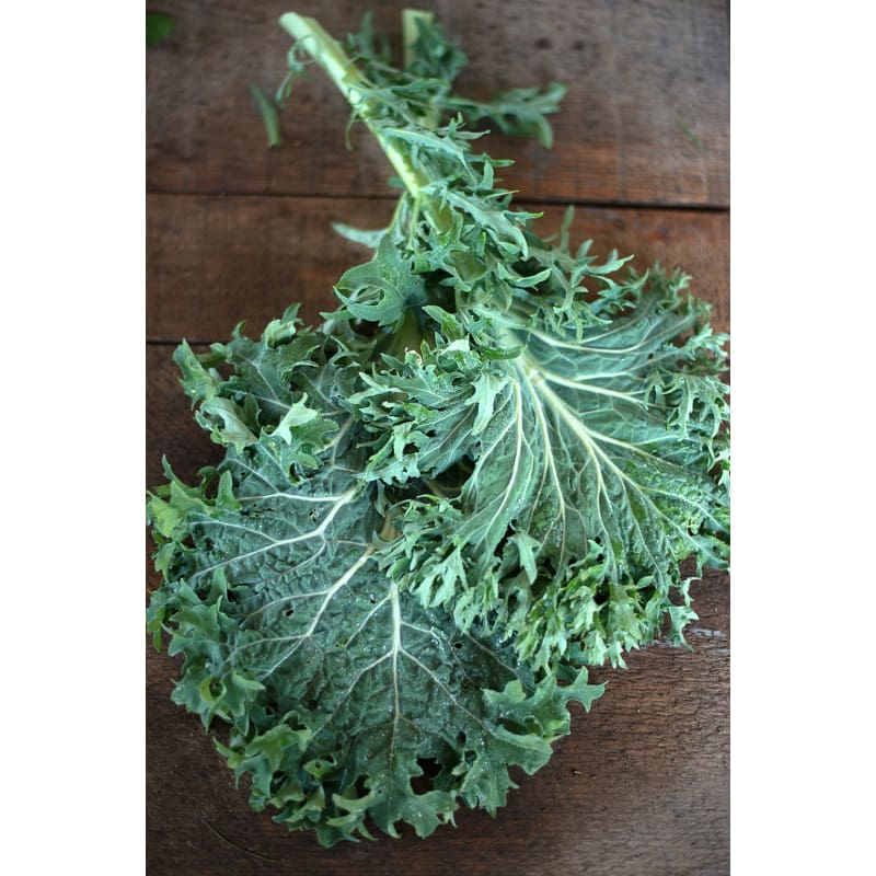 Siber Frill Kale (Organic, 60-70 Days)