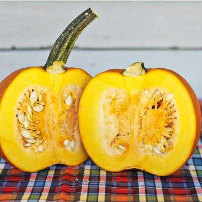 sugar pumpkin seeds for planting Small Sugar Pumpkin (Heirloom 95 Days)