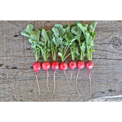 Sora Radish (Organic 22 Days) - Vegetables
