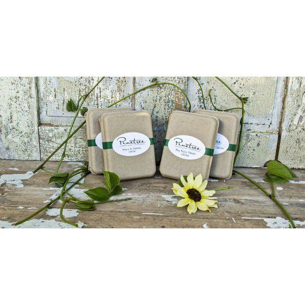 Seed Collections Garden Seeds