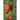 Speckled Roman Tomato (81 Days) - Vegetables