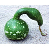Speckled Swan Gourd (125 Days) - Vegetables