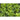 Spicy Asian Greens Mix (1oz) - Vegetables