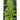Spicy Asian Greens Mix (1oz) - Vegetables
