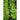 Spicy Italian Greens Mix (1oz) - Vegetables