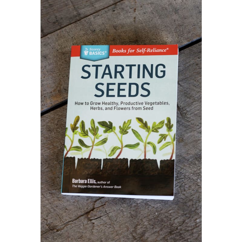 Starting Seeds Garden Seeds