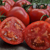 Stellar Tomato (F1 Hybrid 70-75 Days) - Vegetables