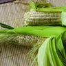 Stowells Evergreen Corn (Heirloom 90-100 Days) - Vegetables