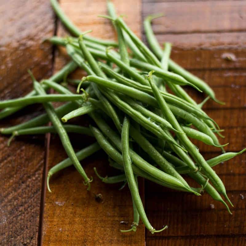 Strike Bush Bean (45 Days) – Pinetree Garden Seeds