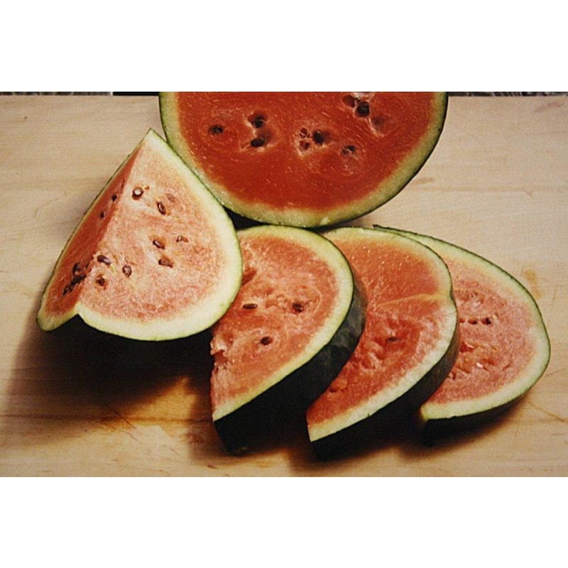 Sugar Baby Watermelon ( 80 Days)