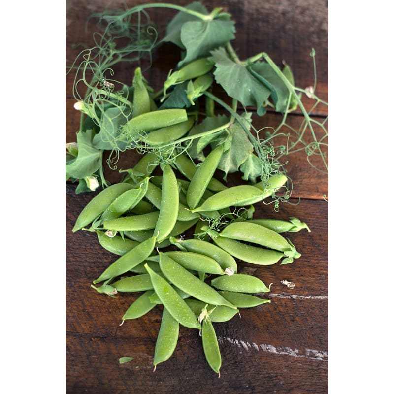 Sugar Lace II Snap Pea (65 Days) – Pinetree Garden Seeds
