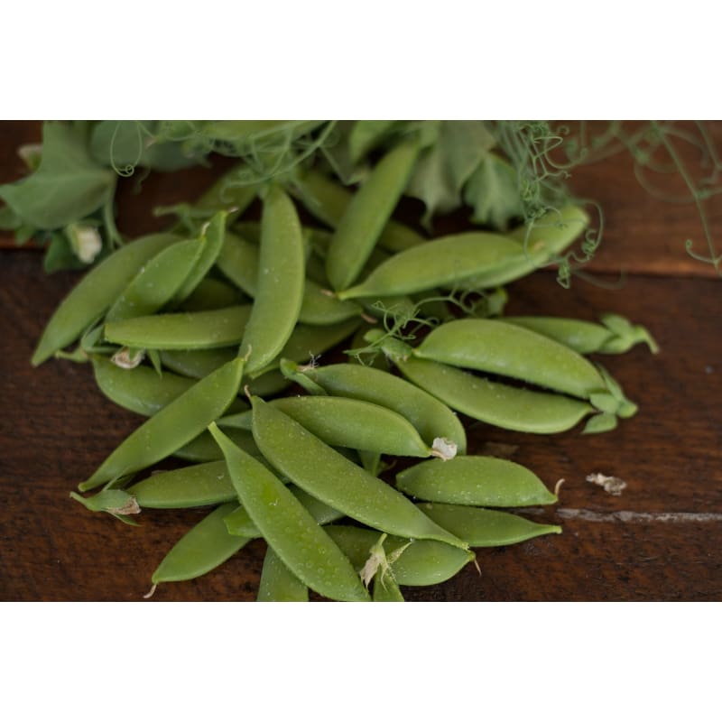 Sugar Lace Ii Snap Pea (65 Days) - Vegetables