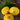 Sunburst Scallop Summer Squash (F1 Hybrid 50 Days) - Vegetables