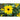 Sunfinity Sunflower - Flowers
