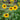 Sunfinity Sunflower - Flowers