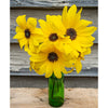 Sunfinity Sunflower - Flowers