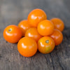 Sungold Tomato (F1 Hybrid 60 Days) - Vegetables