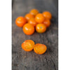 Sungold Tomato (F1 Hybrid 60 Days) - Vegetables