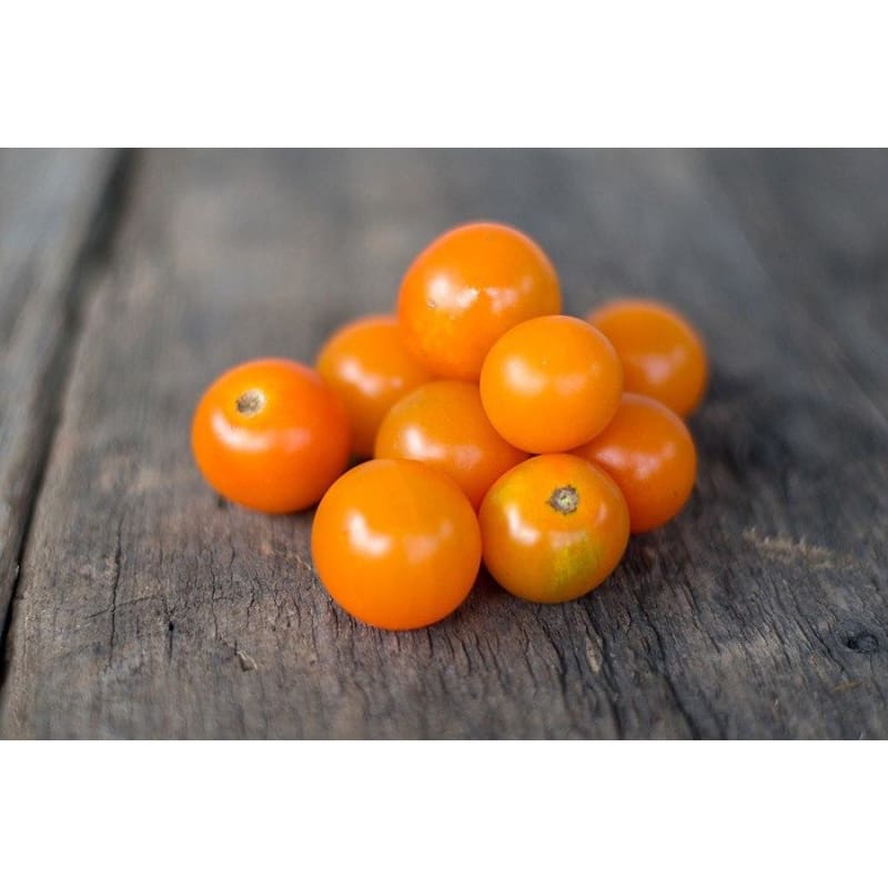 Sungold Tomato (F1 Hybrid 60 Days) - Vegetables