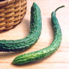 Suyo Long Cucumber (65 Days) - Vegetables