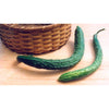 Suyo Long Cucumber (65 Days) - Vegetables