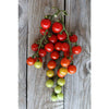 Sweet Aperitif Tomato (80 Days) - Vegetables