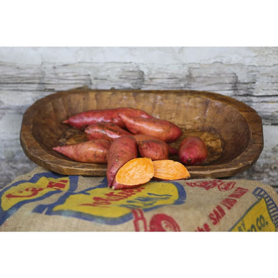 Sweet Potato Georgia Jets - Spring