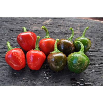 Sweet Red Cherry Pepper (75 Days) - Vegetables
