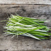 Tabby Cat Grass - Vegetables