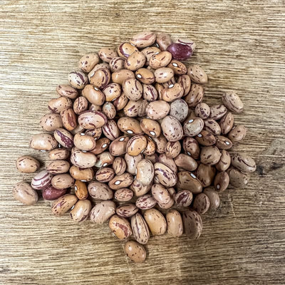 Taylor Horticultural Cranberry Dried Bean (65-80 Days) - Vegetables