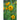 Teddy Bear Sunflower - Flowers