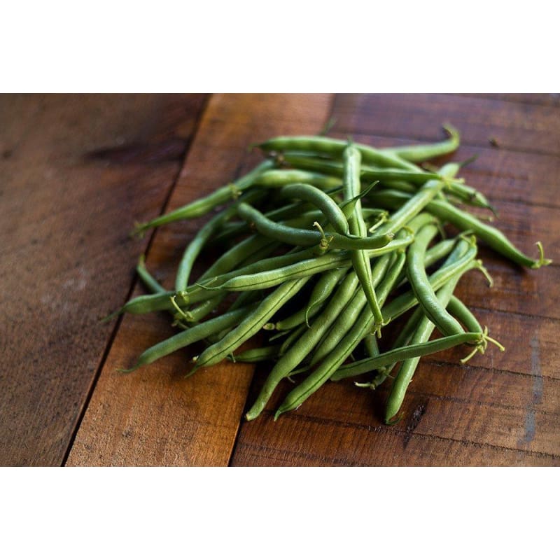 Tendergreen Improved Bush Bean (Heirloom 53 Days) - Vegetables