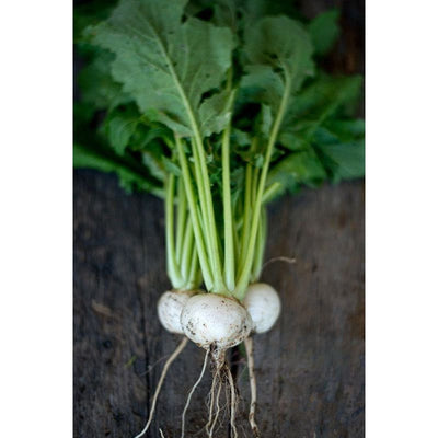 Tokyo Cross Turnip (F1 Hybrid 30 Days) - Vegetables