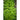Tres Fine Frisee ( Heirloom )30 Days) - Vegetables