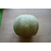 Tuscany Melon (Heirloom 80 Days) - Vegetables