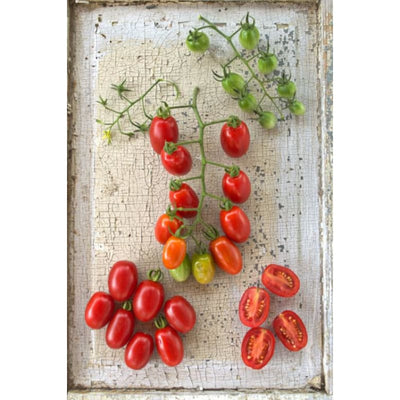 Valentine Tomato (Organic F1 Hybrid 60 Days)