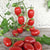 Valentine Tomato (Organic F1 Hybrid 60 Days)