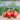 Verona Tomato (F1 Hybrid 67 Days Organic) - Vegetables