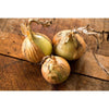 Walla Walla Onion Seeds (105 Days) - Vegetables