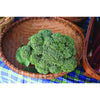Waltham 29 Broccoli (85 Days) - Vegetables