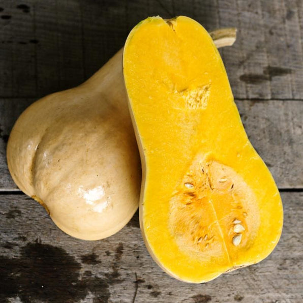 Buy Squash Seeds Online Squash Seeds For Sale Garden Seeds