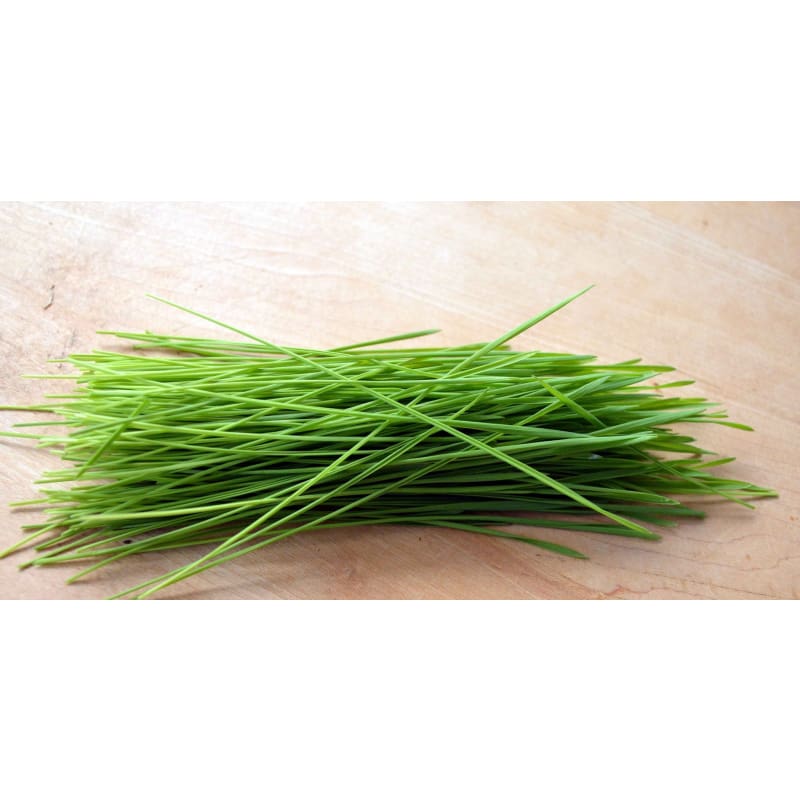 Wheatgrass Shoots (Organic)