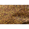 White Clover Cover Crop - Cover Crops