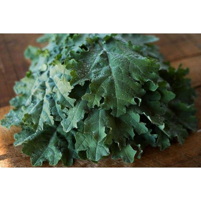 White Russian Kale (50 Days) - Vegetables