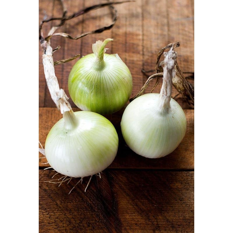White Sweet Spanish Onion (110 Days) - Vegetables